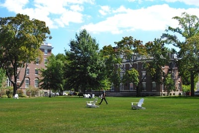 Cover image for Walking from the Quad: STEM Edition