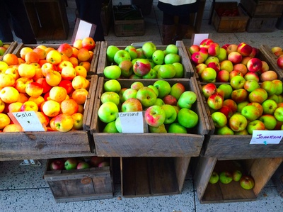 Cover image for Your Guide To Apple Cider in the Square