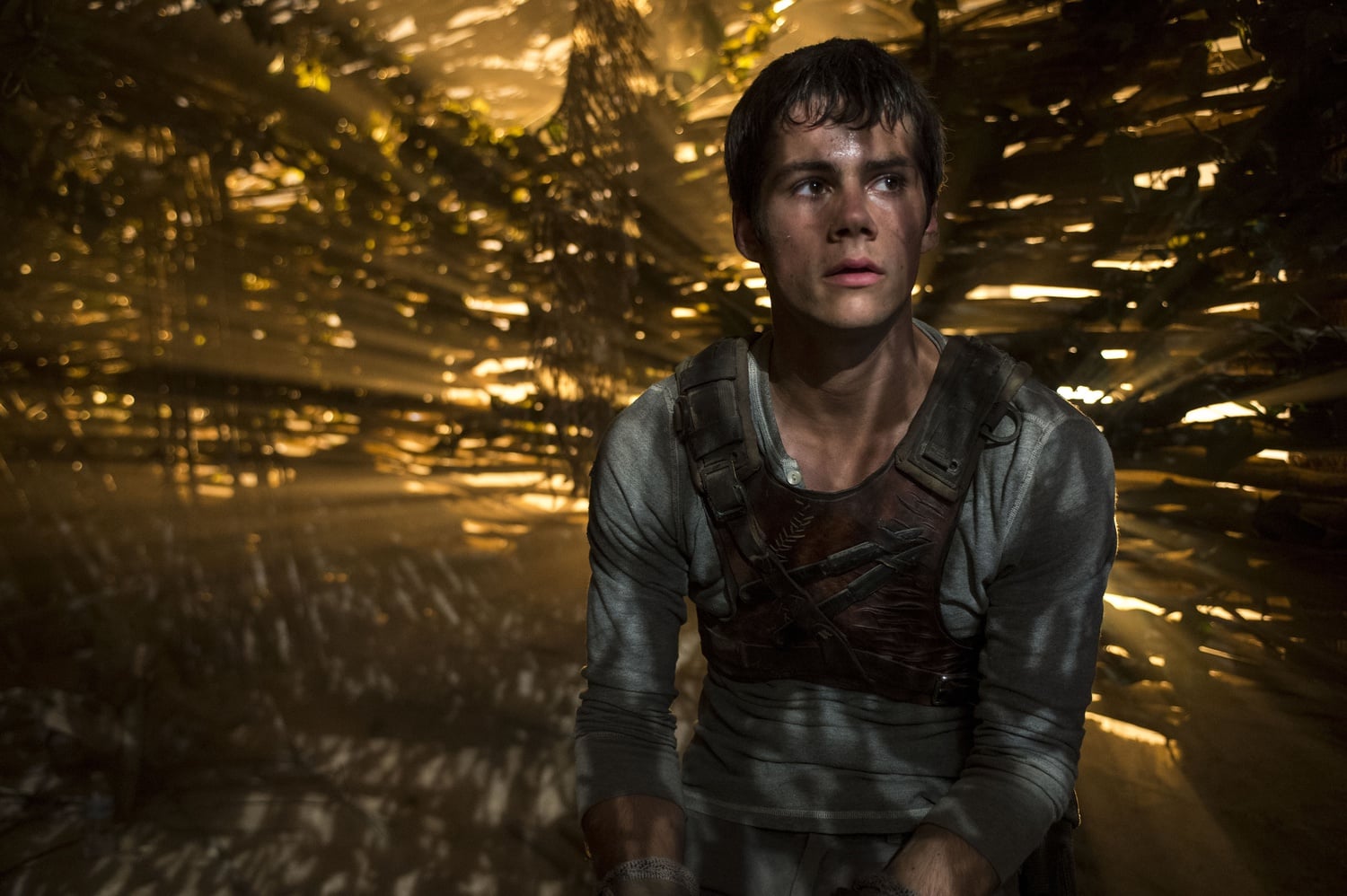 Dylan O'Brien stars in "The Maze Runner."