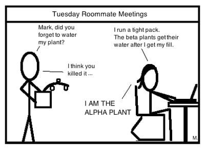 Cover image for Tuesday Roommate Meetings