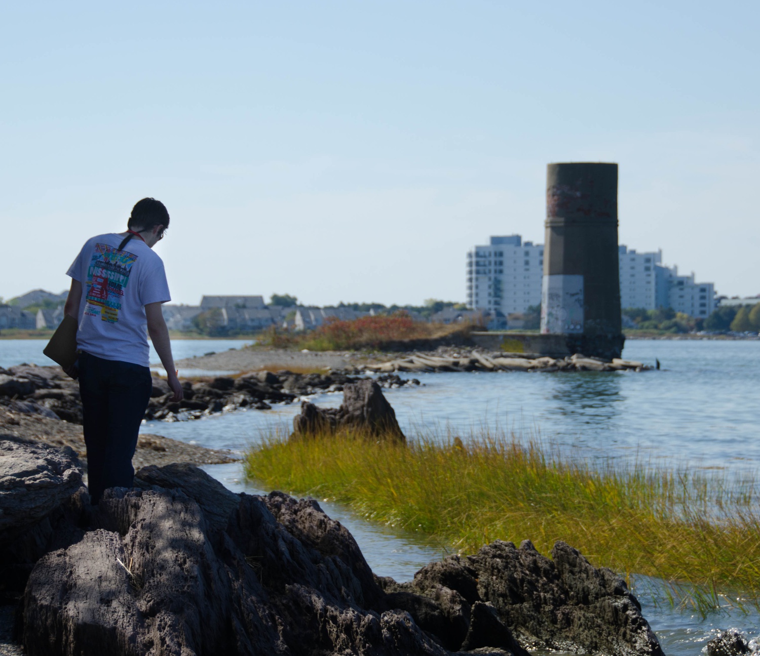 Wilson W. Kuhnel '16 explores the geological features of the Squantum Head coastline. Earth and Planetary Sciences 21: "The Dynamic Earth" took a field trip to North Quincy to identify minerals and sketch rock structures. 