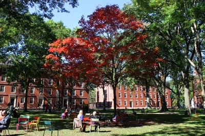 Cover image for Home Away From Home: The Harvard Undergraduate Rural League Launches Advocacy, Affinity Efforts