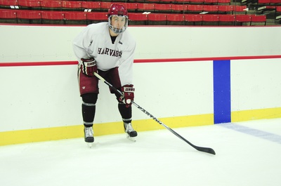 Cover image for Men's Hockey Looks to Reverse Course in 2014-2015