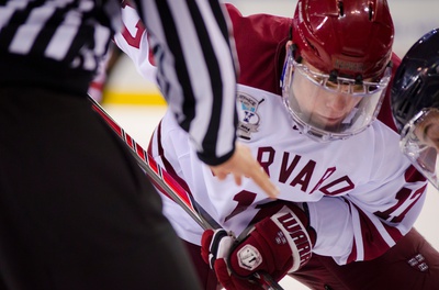 Cover image for Hockey Preview 2014