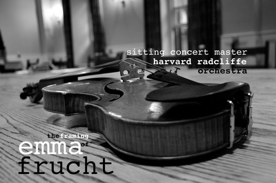Cover image for The Framing of Emma Frucht