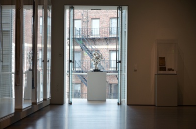 Cover image for Art Museums Celebrate Official Opening to the Public