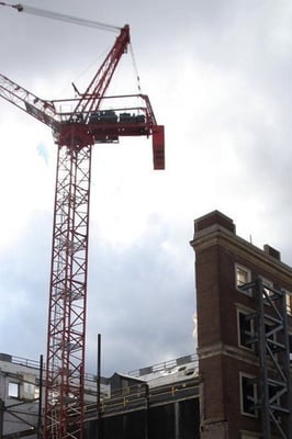 Cover image for Crane on Fogg