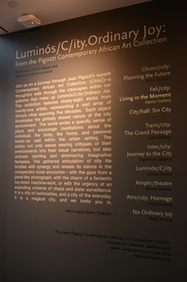 Cover image for Luminós/C/ity.Ordinary Joy
