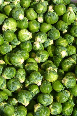 Cover image for Brussels Sprouts