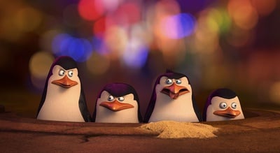 Cover image for Penguins