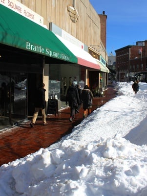 Cover image for Harvard Square Stores See Steady Business in Blizzard