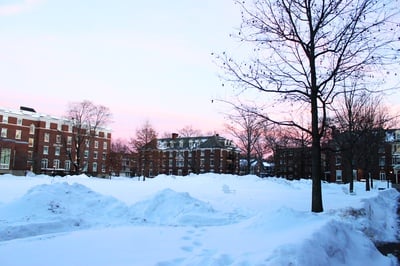 Cover image for BREAKING: Snow Update from the Dean of Student Life