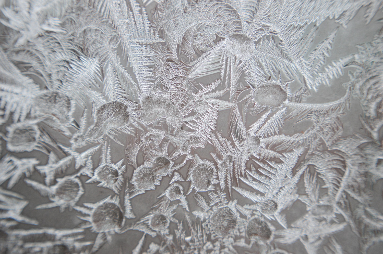 Frost expands on a dorm window facing JFK St. 
