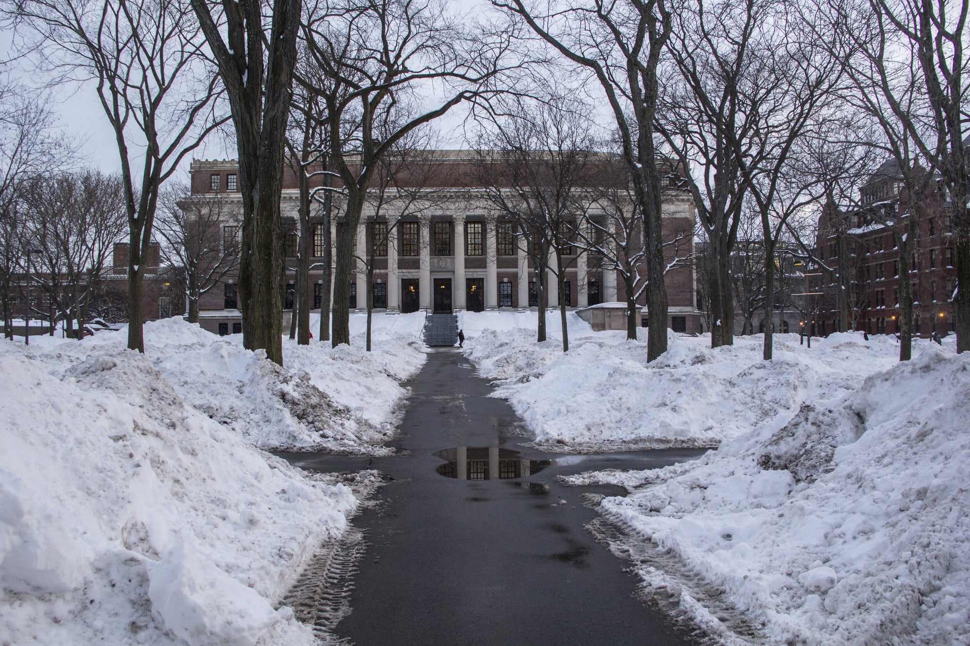 Harvard University cancelled classes for the third time in two weeks on Tuesday as the closing of the MBTA to clean snow and ice of tracks disallowed many staff members and instructors to travel to the university. 
