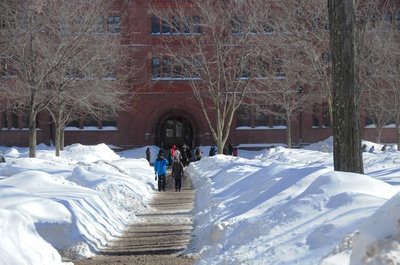 Cover image for Local Pantries Faced Distribution Challenges During Winter