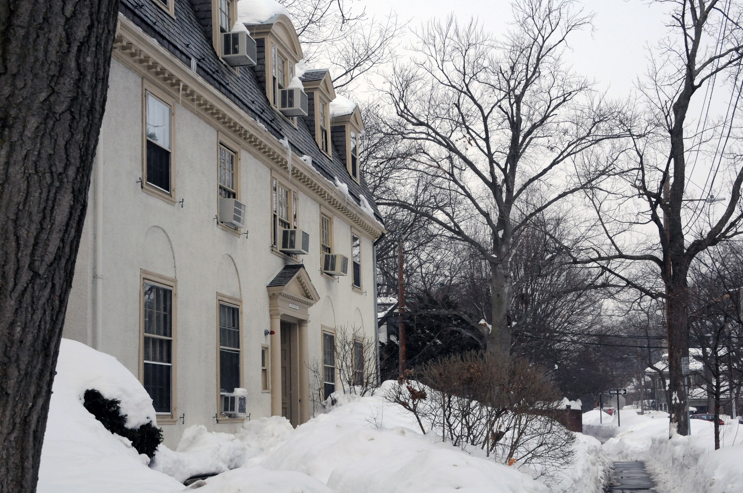 Language offices in the Department of East Asian Languages and Civilizations are housed in a re-purposed residential home at 5 Bryant Street. Department administrators said the space does not have the capacity to accommodate approximately 40 instructors and administrators.  