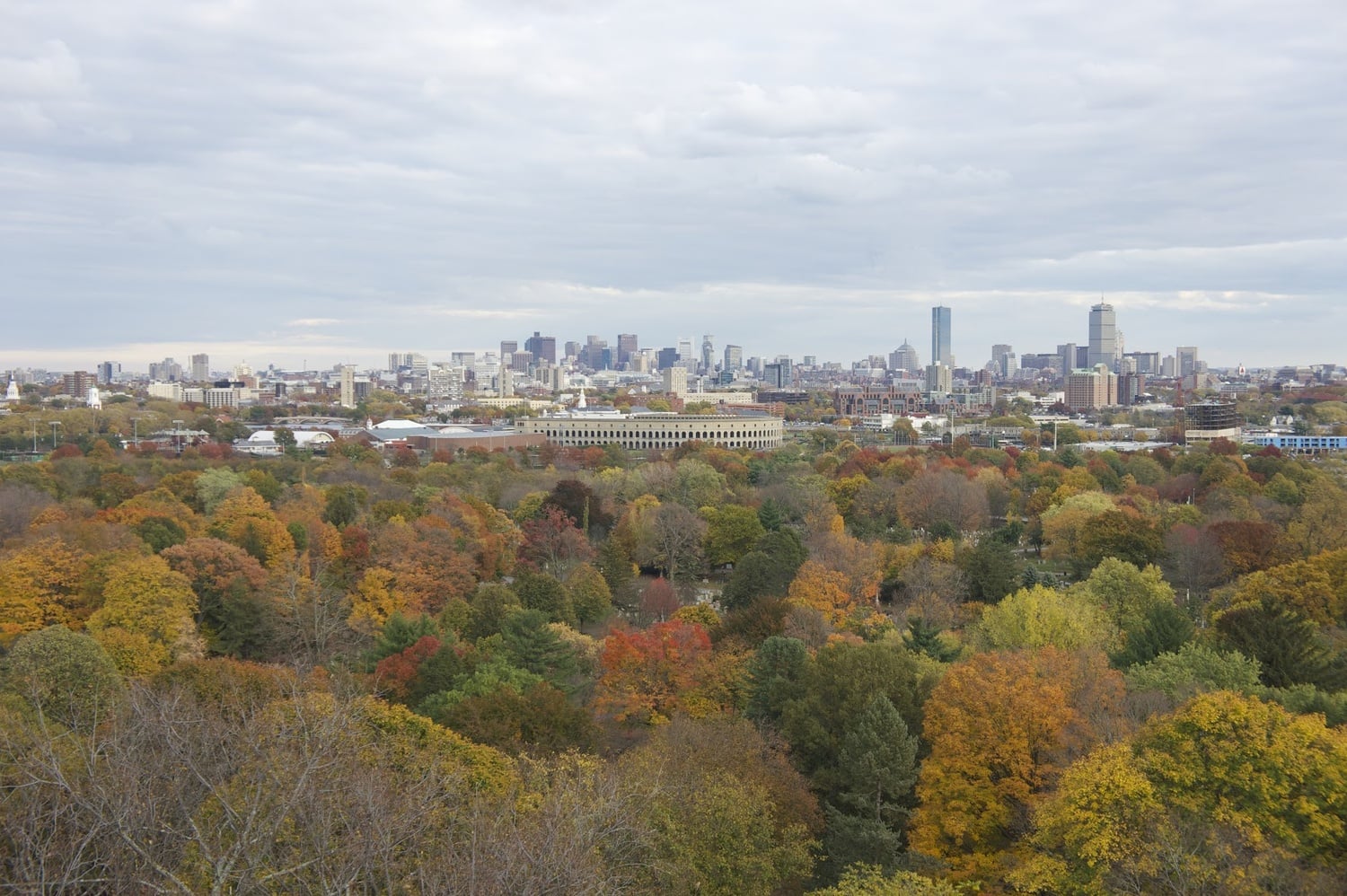A view of Boston from Mount Auburn Cemetery in the fall 