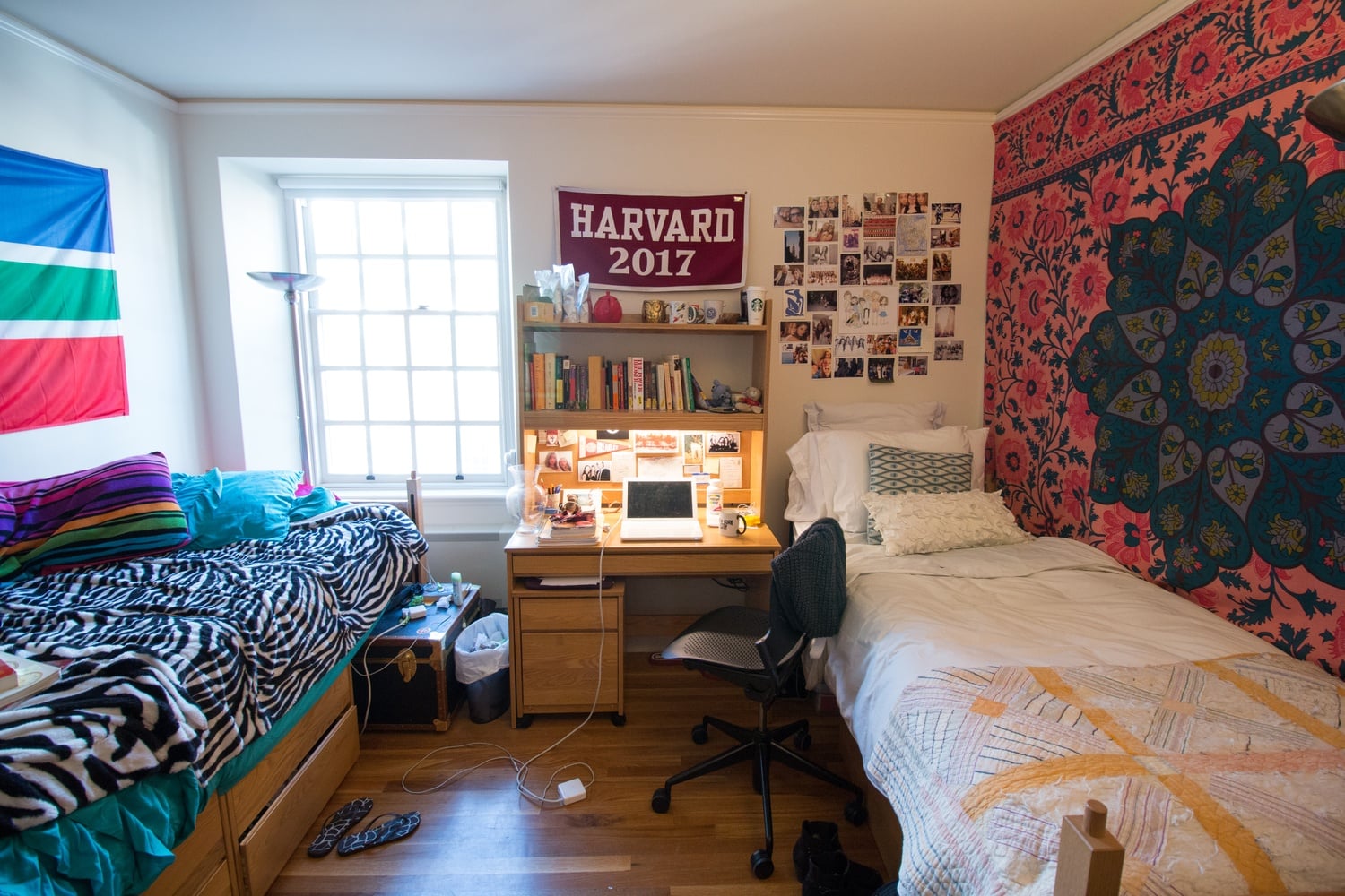 A sophomore double in Leverett House