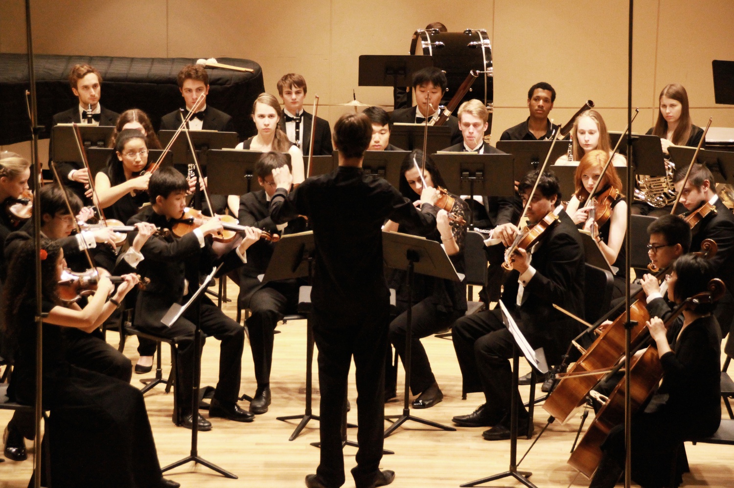The Bach Society Orchestra begins the spring semester with its third concert of the year.