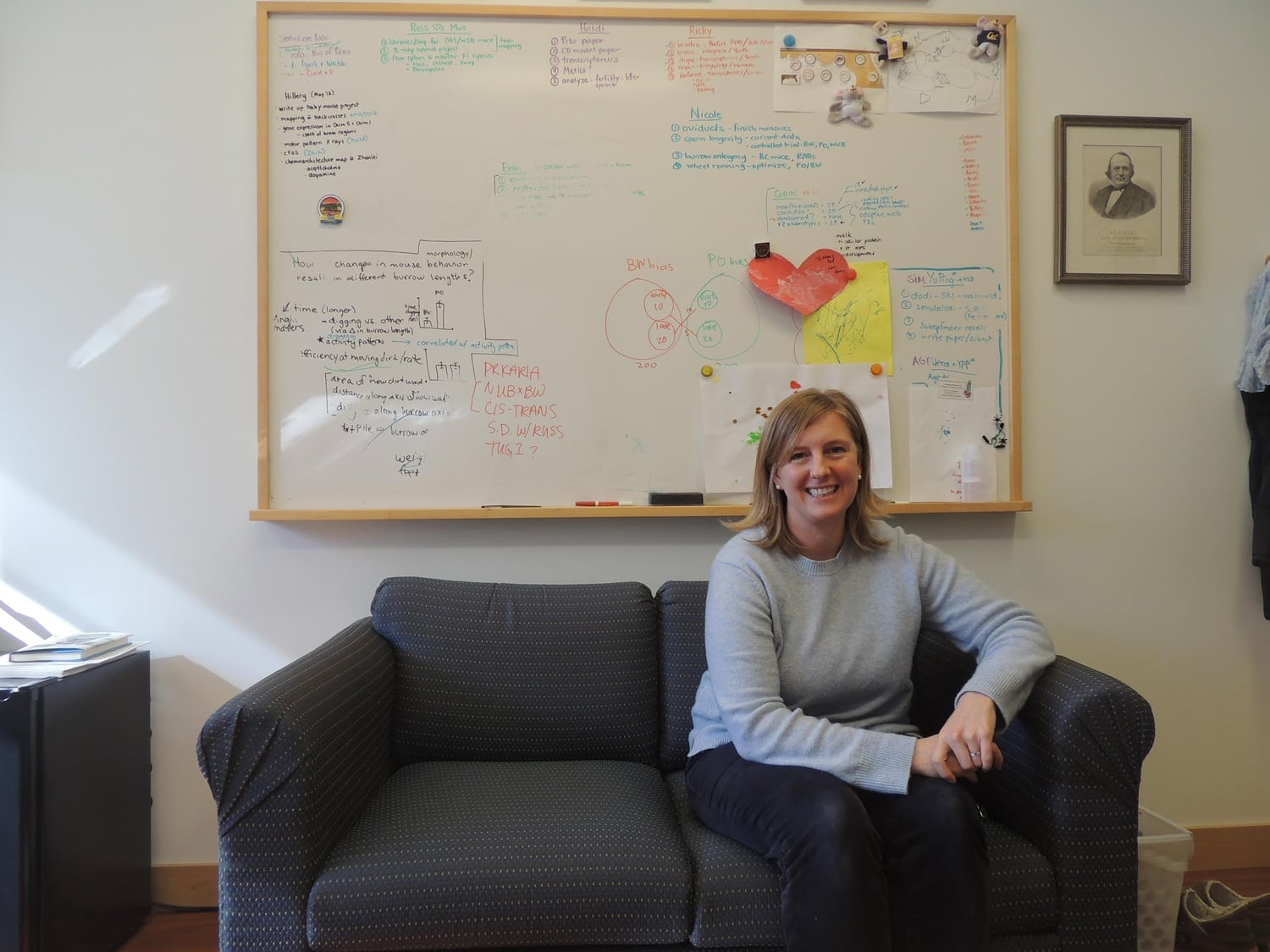 Hopi E. Hoekstra, a professor of Organismic and Evolutionary Biology and Molecular and Cellular Biology, sits in her office, next to drawings created by her young son Henry. 
