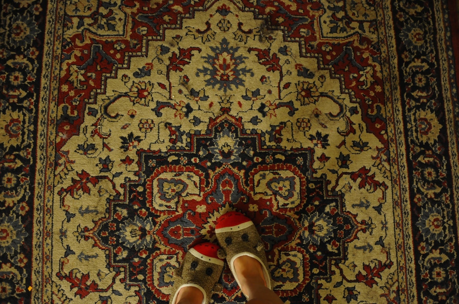 During spring break, I spent the vast majority of my time in my sock monkey slippers.