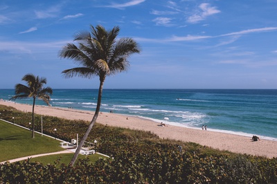 Cover image for 80 Degrees and Humid