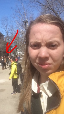 Cover image for PSA: Malia Obama Tours Harvard 