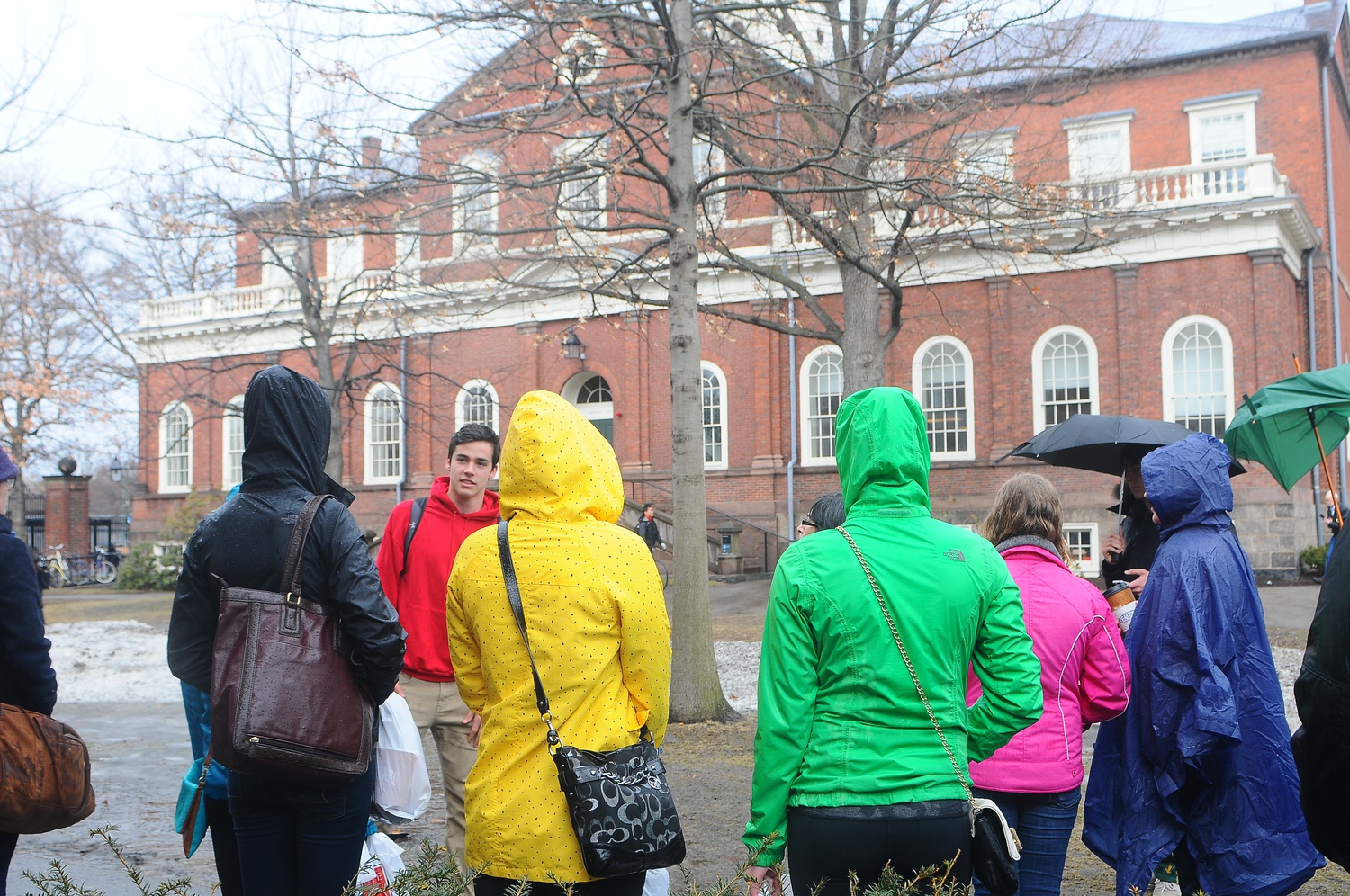 Tourists gather around a Crimson Key Tour Guide in front of Harvard Hall. Despite inclement weather, tour groups sizes were unaffected. 