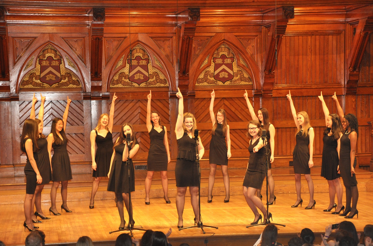 The Radcliffe Pitches pose during their 40th anniversary concert. The concert, held in Sanders Theater, welcomed a variety of audience members, including Pitches alumni, students, community members, and faculty. 