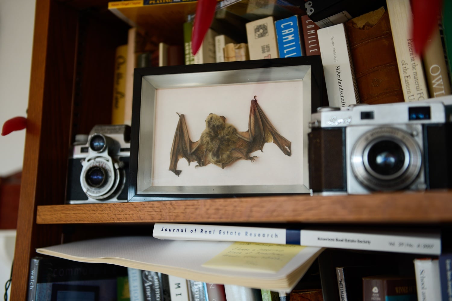 "He's got the eye of an interior designer. It's not just this random collection of things that he's thoughtlessly hoarded. Everything is there for a reason," said Sam H. Rashba '14-'15 on Stilgoe's office.