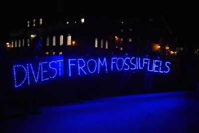 Cover image for Divestment in Review