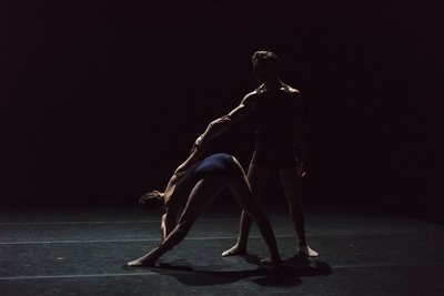 Cover image for Duetti 