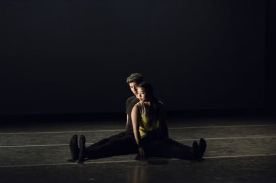 Cover image for Duetti