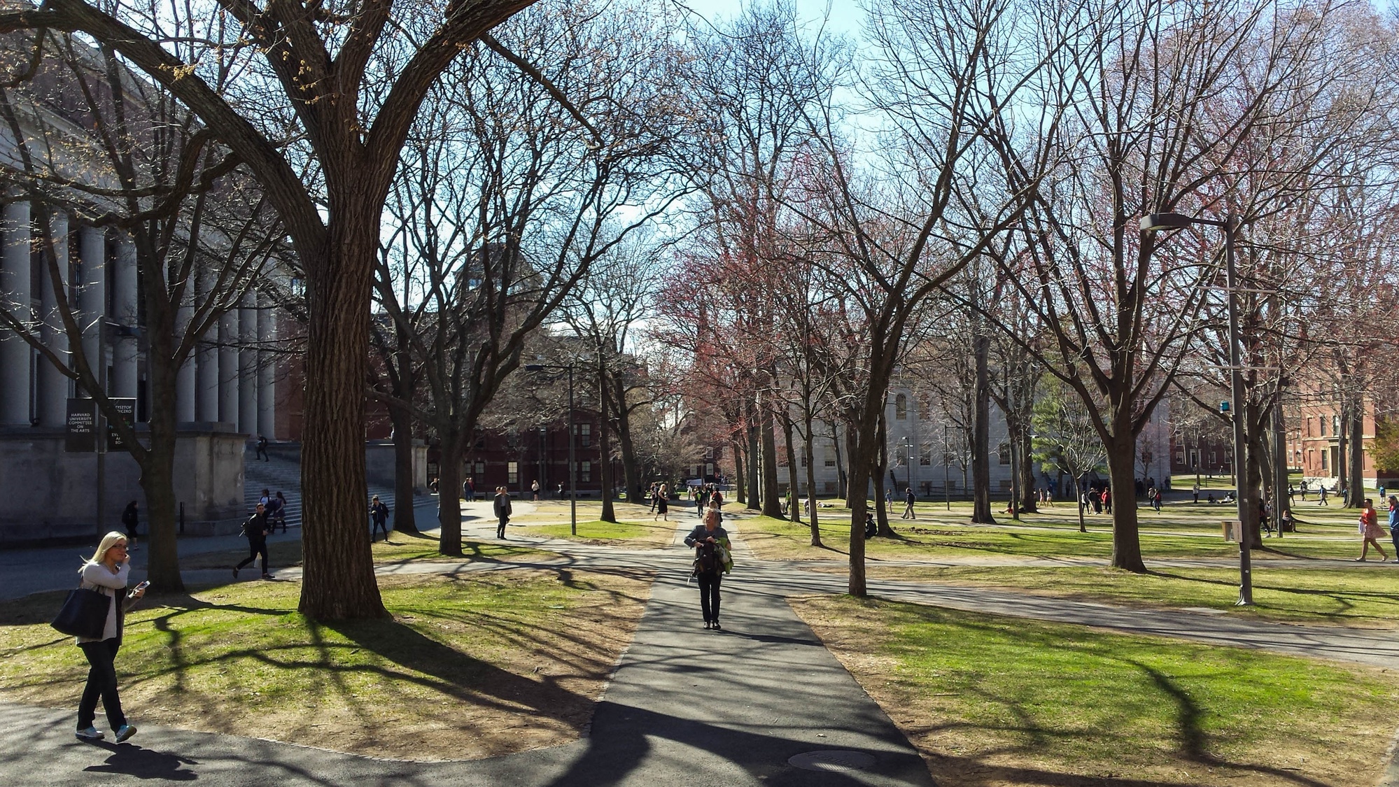 Shadows of trees spread across Tercentenary Theater as students and visitors walk through the yard on a warm Wednesday.