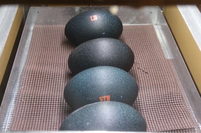 Cover image for Incubating Ideas