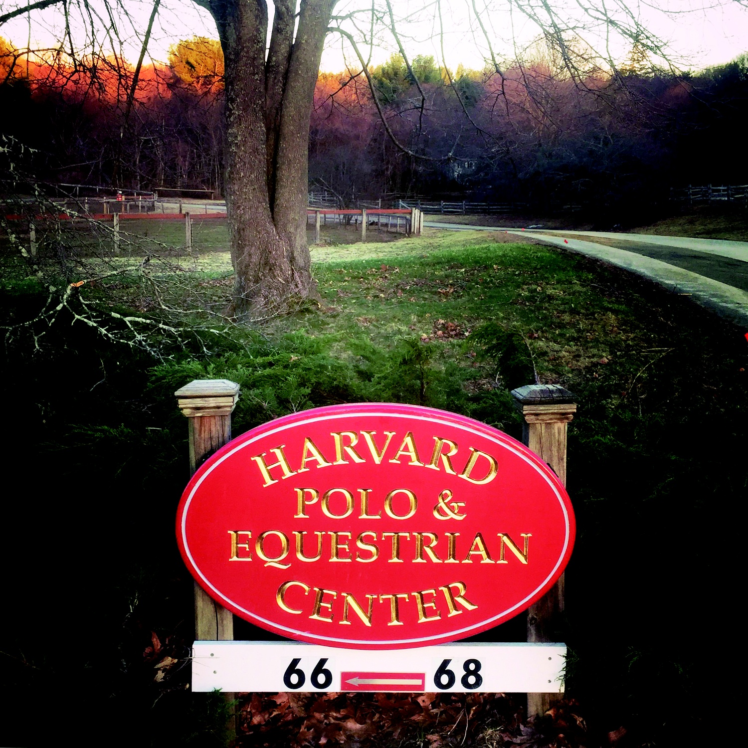The Harvard Polo Team was the first collegiate program in the country, having been founded in 1883.