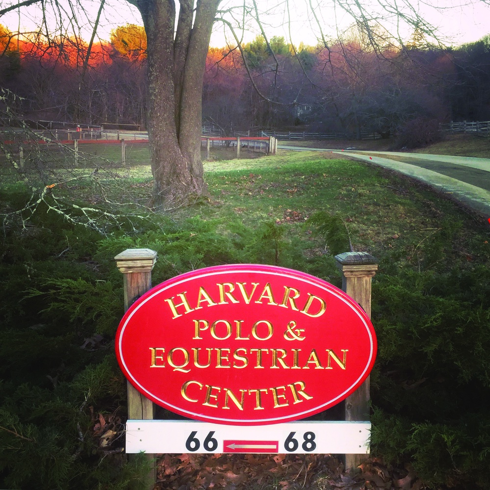 The Harvard Polo Team was the first collegiate program in the country, having been founded in 1883.