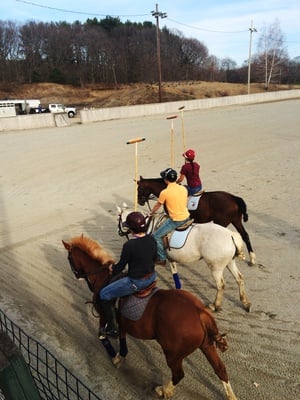 Cover image for Polo