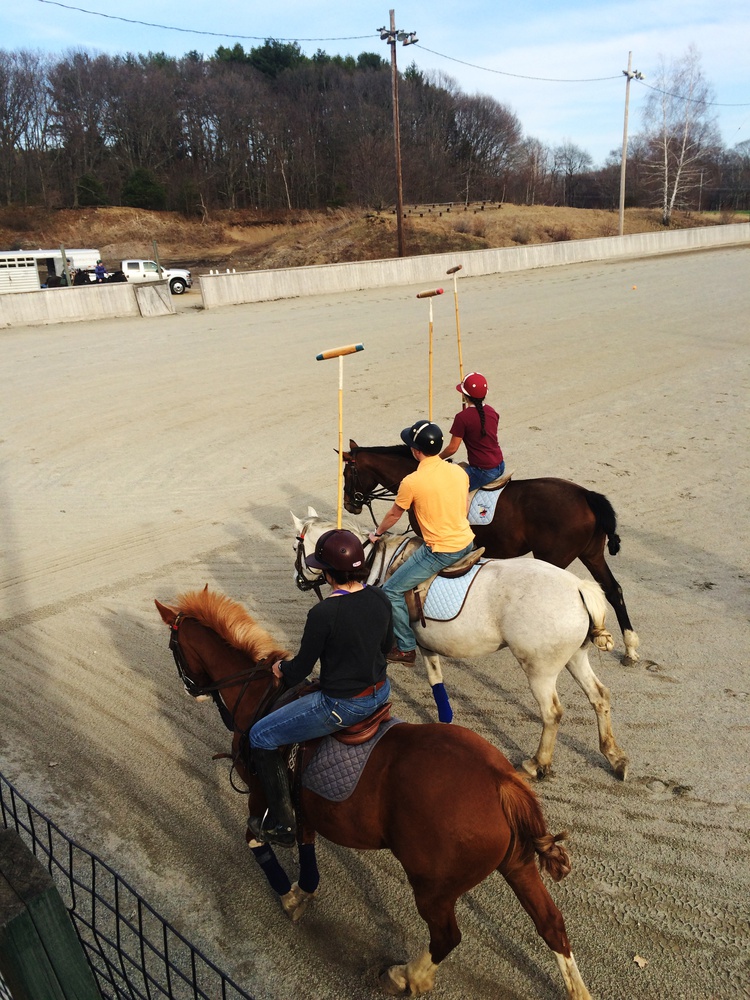 Four days a week, members of the Harvard Polo Team make the trek out to Hamilton, Mass., to practice their sport.