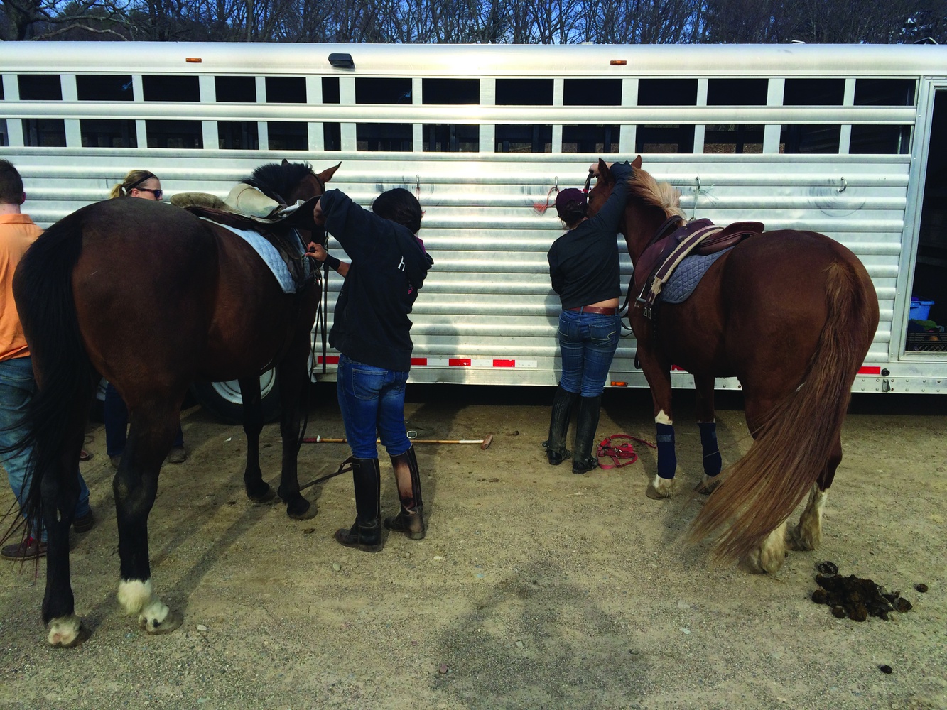 Aemilia Phillips '16 (left) and Sarah Gonzales '18 (right) are each members of the Harvard Polo Club.