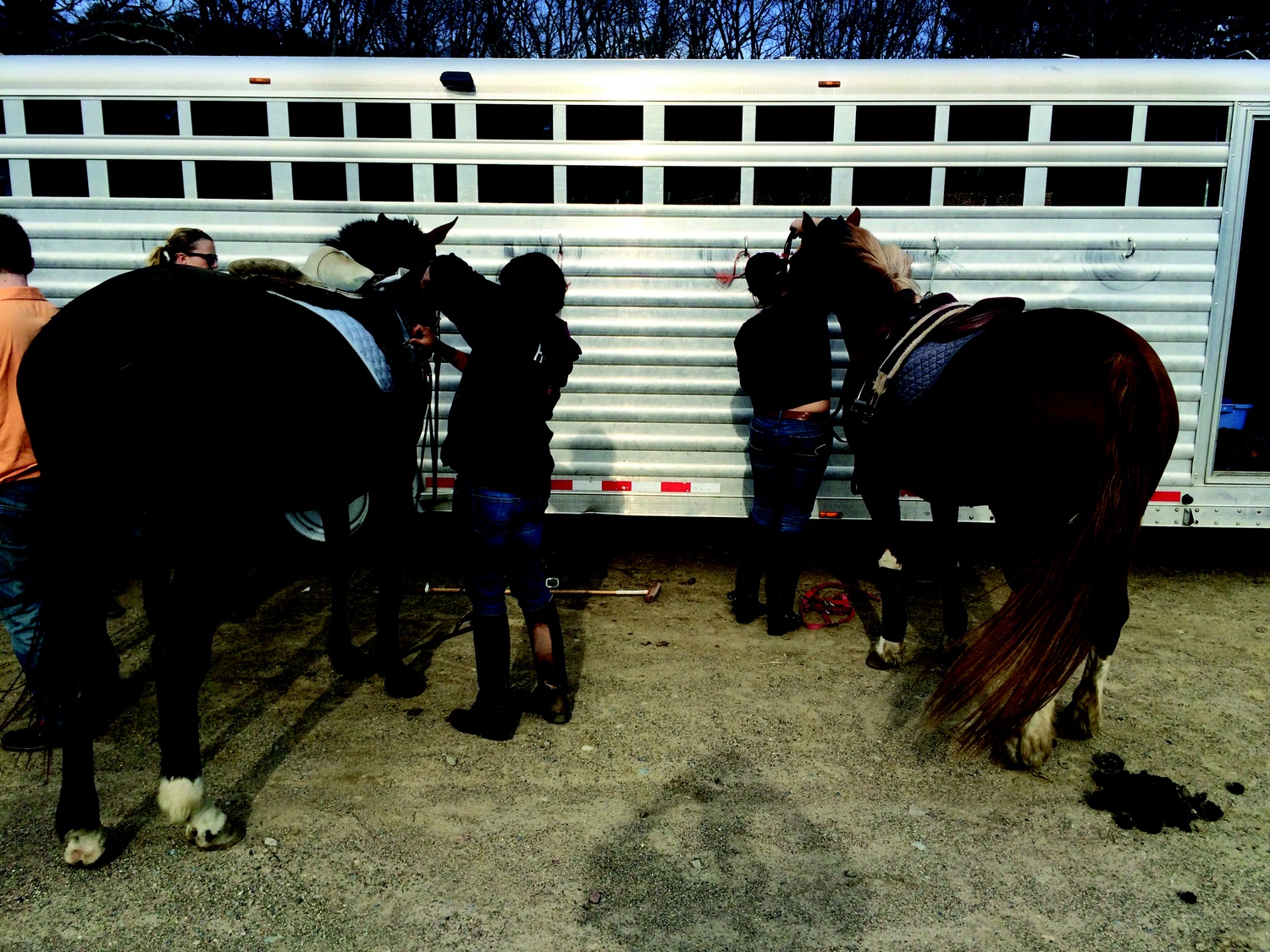 Aemilia Phillips '16 (left) and Sarah Gonzales '18 (right) are each members of the Harvard Polo Club.