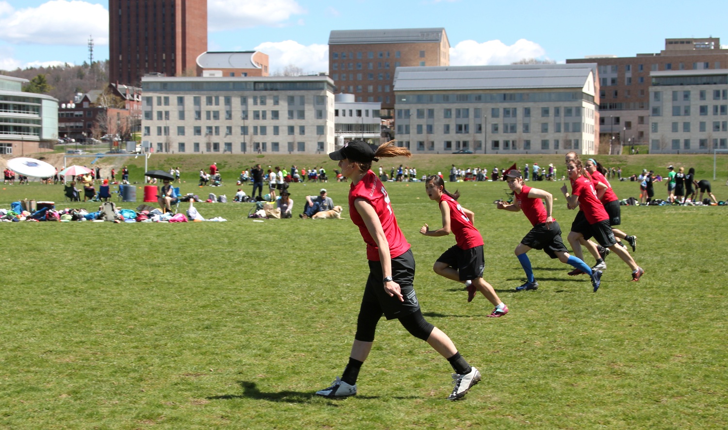 The Harvard Quasar, alongside the Harvard Red Line, have put Ultimate Frisbee on the map in Cambridge. 