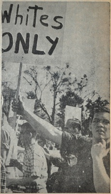 Cover image for Protesters 1965