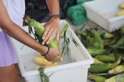 Cover image for Market Attracts Customers to Science Center Plaza
