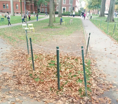 Cover image for Harvard’s Reign of Terror