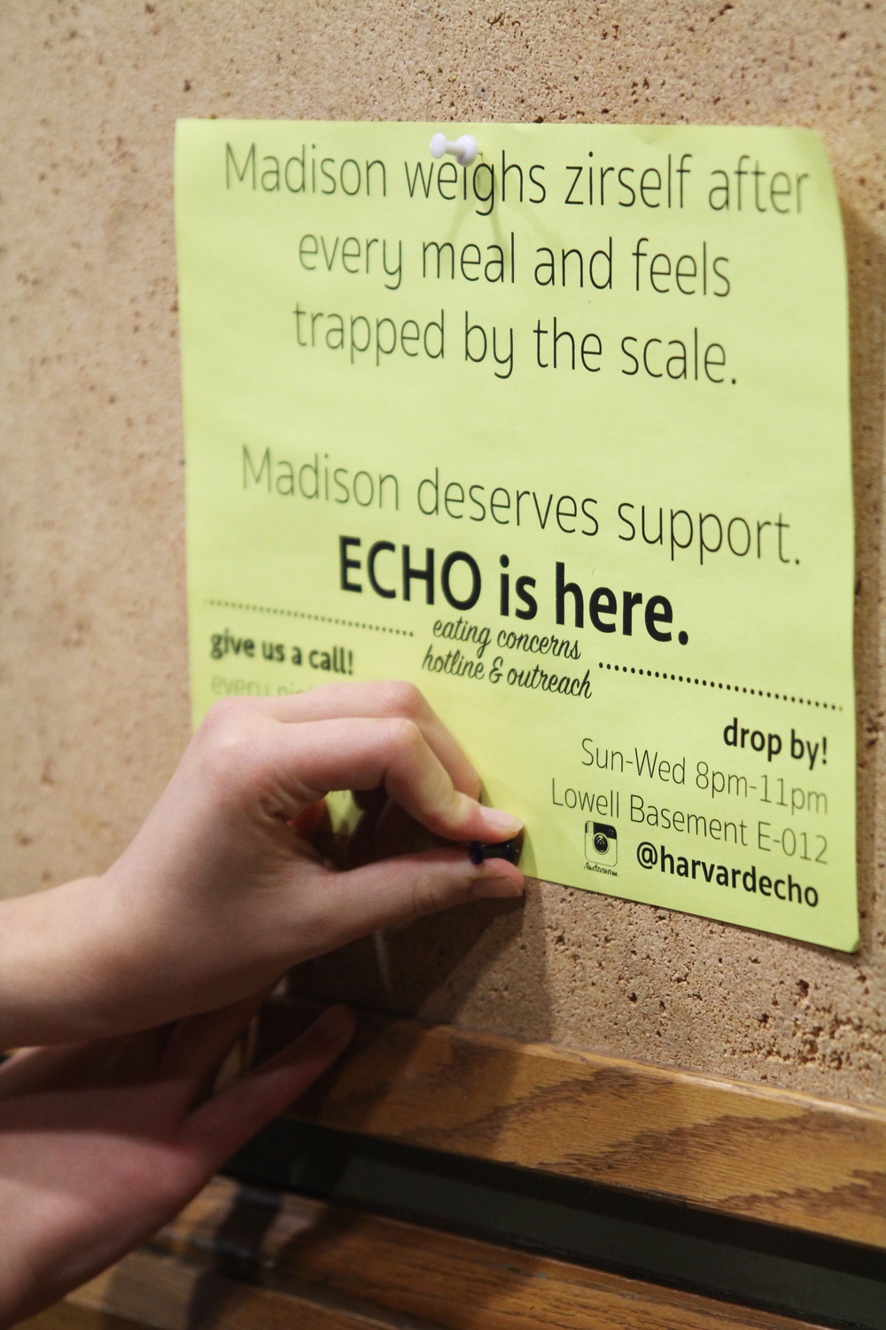Members of ECHO poster the Yard with fliers on Monday morning. 
