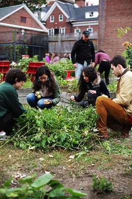 Cover image for Harvest Fest