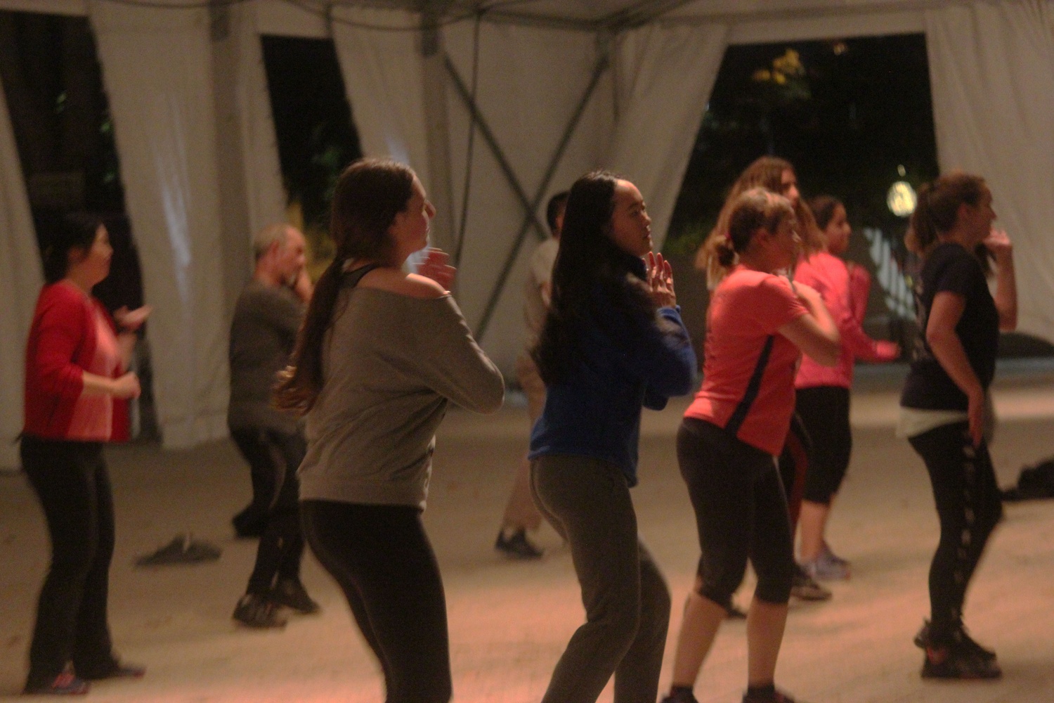 The Harvard Wellness Program hosts a Party in Pink Zumbathon on the Science Center Plaza Saturday evening. The two hour event raised over $400 to combat breast cancer.