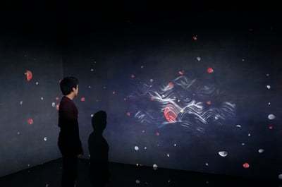 Cover image for teamLab at Radcliffe