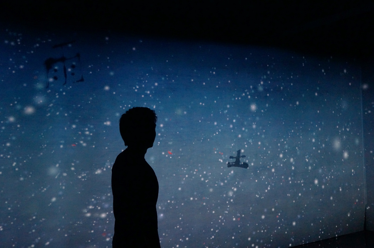 The Japanese art collective teamLab opened its multimedia installation "What a Loving and Beautiful World" at Radcliffe's Byerly Hall last Friday.